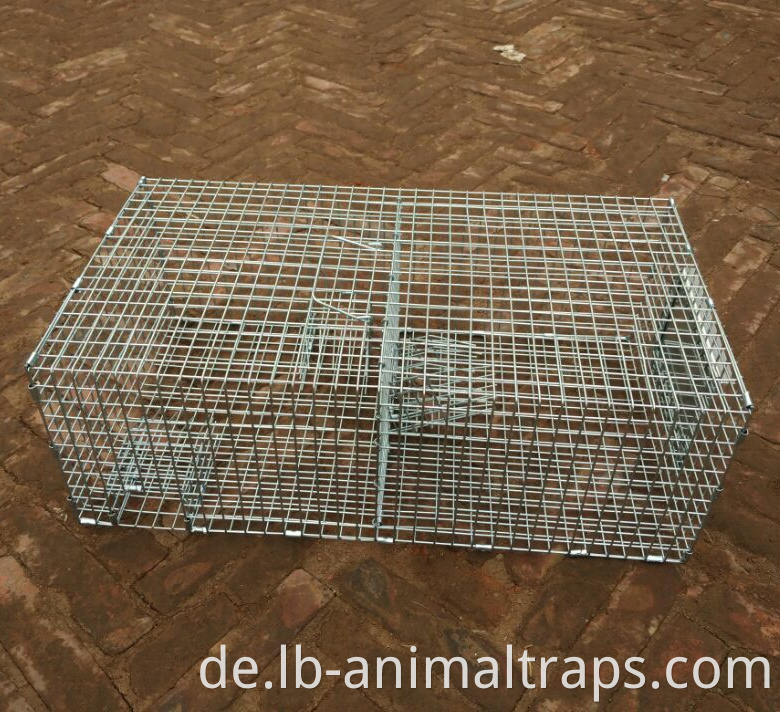 Repeating Control Trap Wire Cage